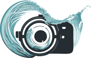 SnootOut Academy Logo